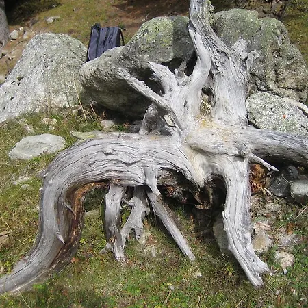 Senda 517 C 아파트 *