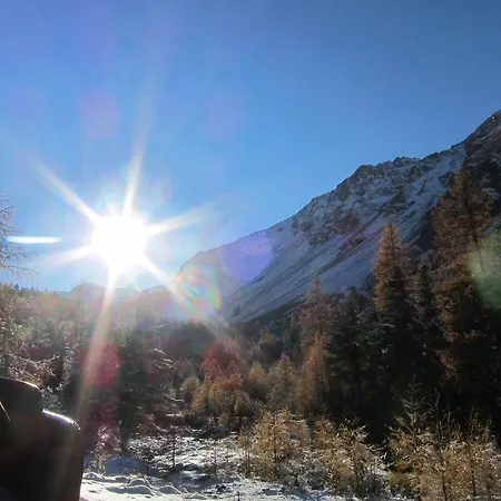 아파트 Senda 517 C *