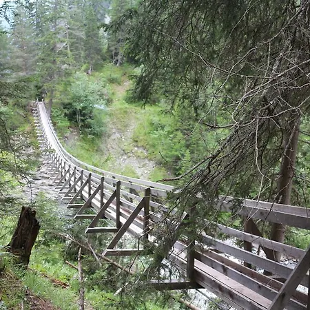 Senda 517 C * 스쿠올