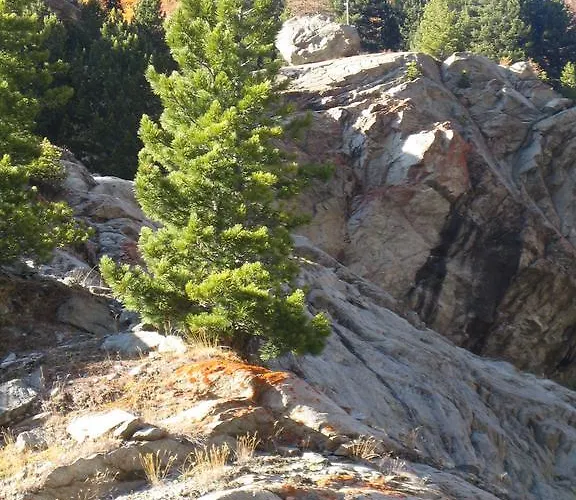 Apartamento Senda 517 C *