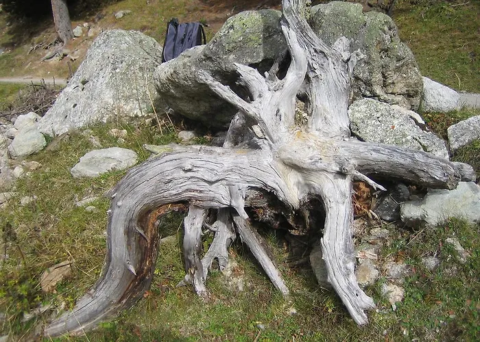 Senda 517 C Apartamento *