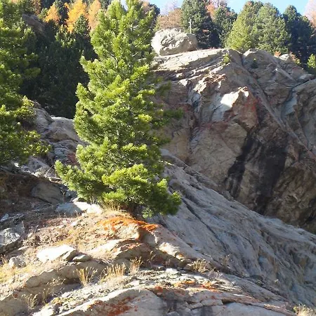 Апартаменты Senda 517 C *